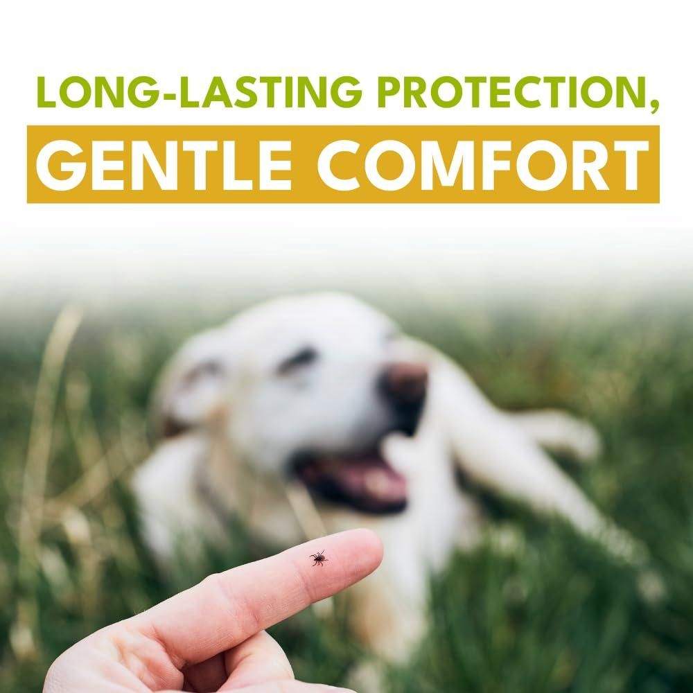 Flea & Tick Repellent Spray 100 ml  (BUY 1 GET 1)