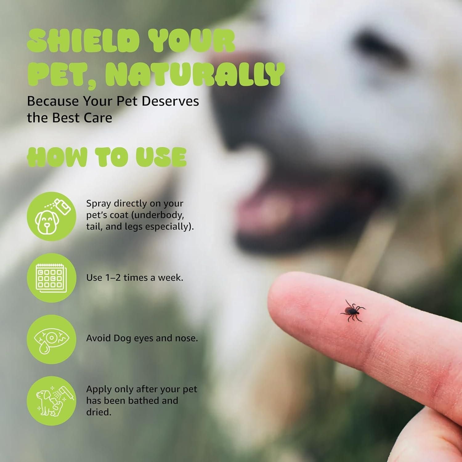 Flea & Tick Repellent Spray 100 ml  (BUY 1 GET 1)