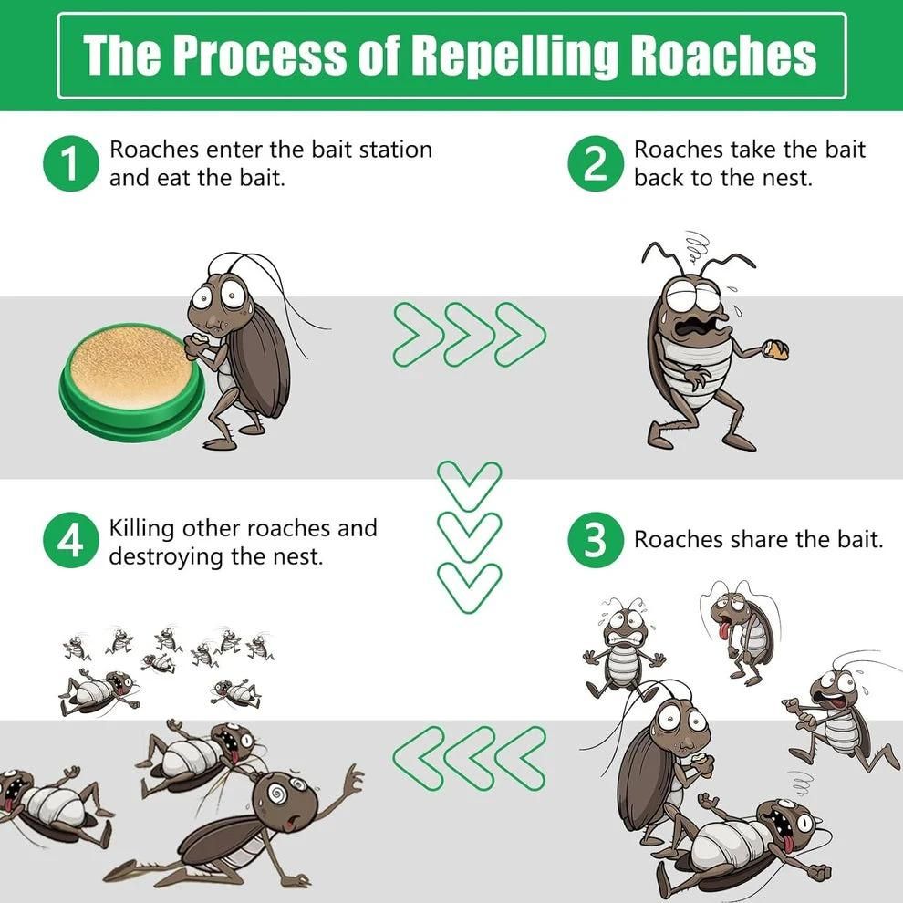 Cockroach Killer Gel (Buy 1 Get 1 free )