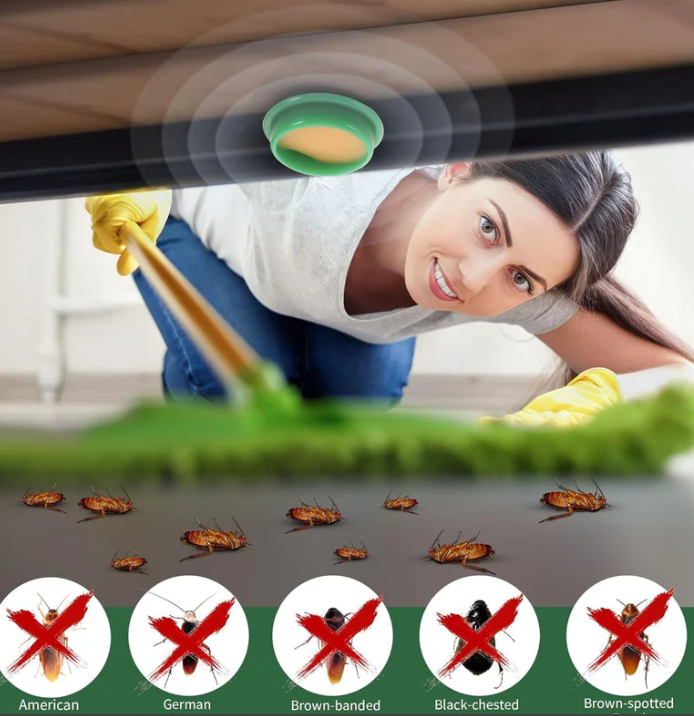 Cockroach Killer Gel (Buy 1 Get 1 free )