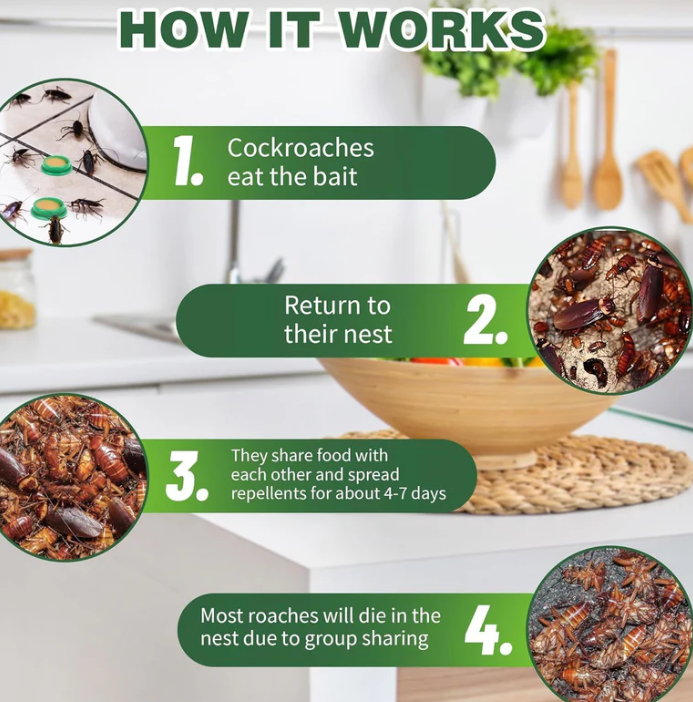 Cockroach Killer Gel (Buy 1 Get 1 free )